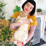 Five Things Every Cat Lady Knows