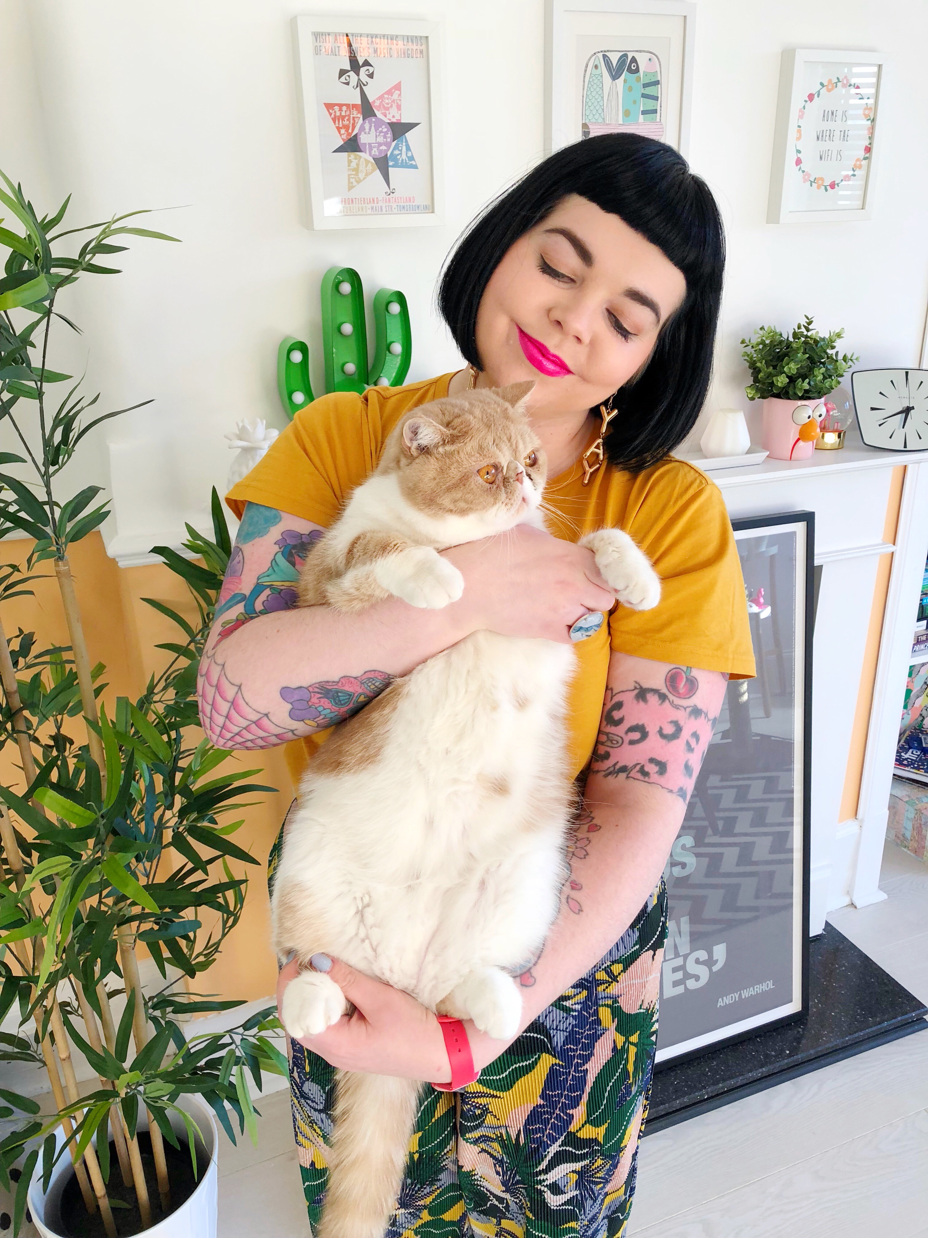 Five Things Every Cat Lady Knows Five Things Every Cat Lady Knows